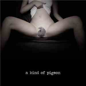 A Kind Of Pigeon - A Kind Of Pigeon download free
