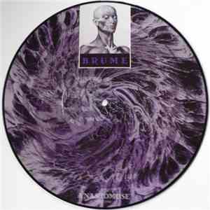 Brume - Anastomose download free