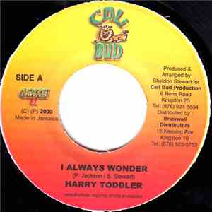 Harry Toddler / Danny Marshall - I Always Wonder / Bobo Spice download free