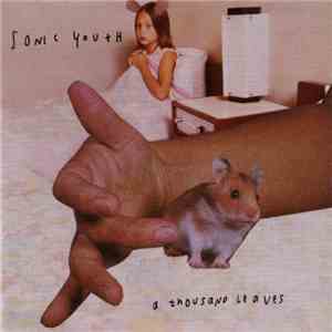 Sonic Youth - A Thousand Leaves download free