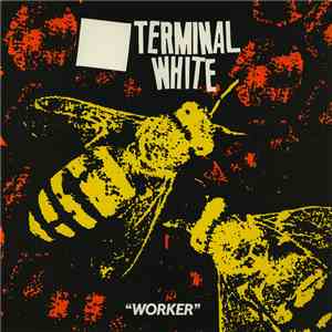 Terminal White - Worker download free