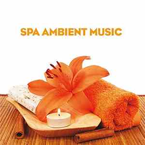 Various - Spa Ambient Music download free
